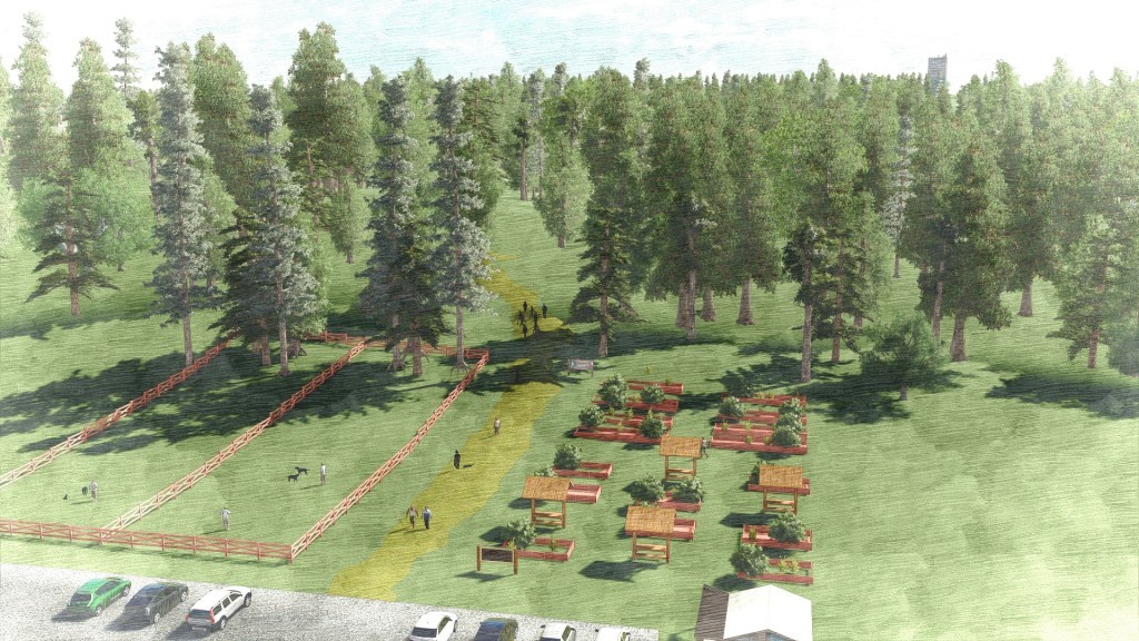 LBA Woods includes nine acres of “old-growth” Scotch broom ideal for conversion to community gardens and a dog park. Art credit: Lydia C. Fulton