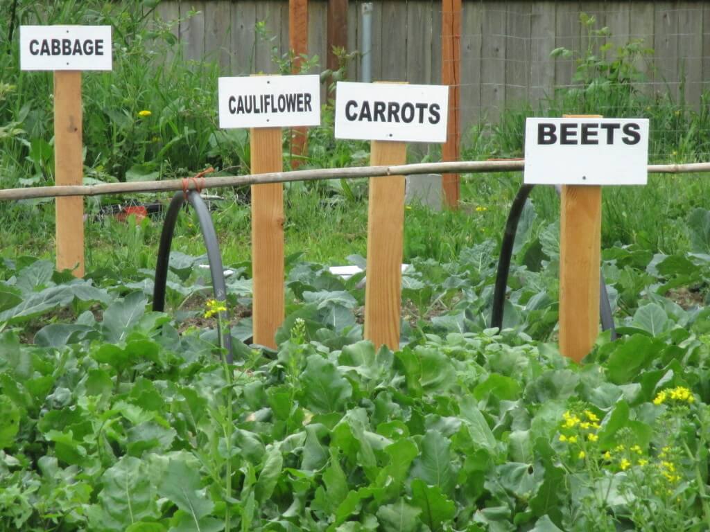 LBA Woods for Community Gardens