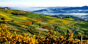 Paso from the air