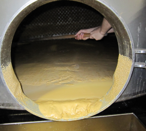 Wine yeast